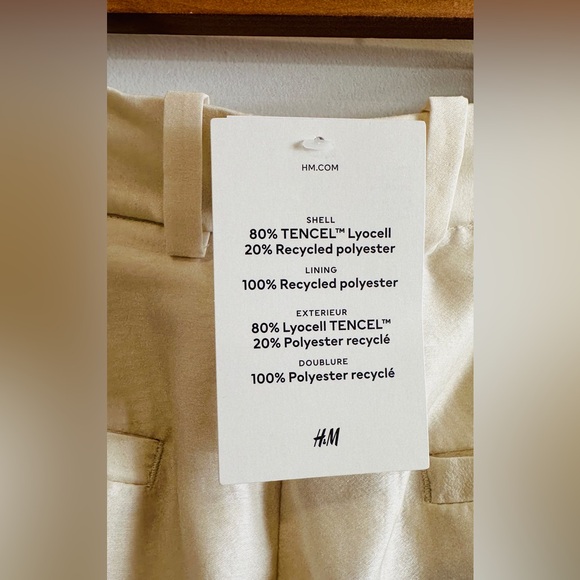 🔥POPULAR🔥 H&M Edition Spring 2025 Cream Chiffon Wide Leg Trouser Pants Size 8 - Picture 9 of 14